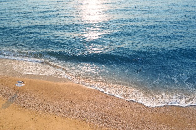 Pusta tropikalna plaża i czysta, błękitna woda. widok z lotu ptaka.