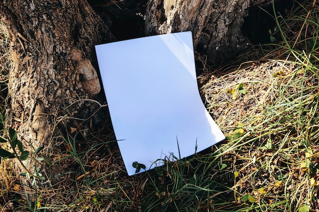 Zdjęcie puste arkusze papieru do broszury w pobliżu drzewa mock up