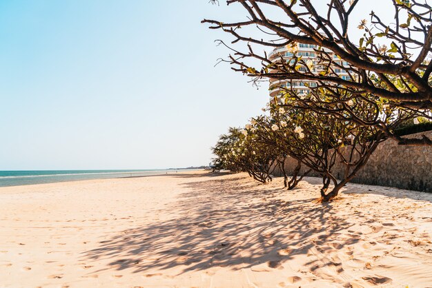 puste morze na plaży