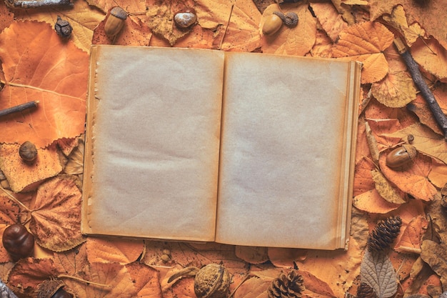 Zdjęcie puste strony starej otwartej książki na kreatywnym jesiennym tle wykonanym z suchych liści leżących płasko, widok z góry