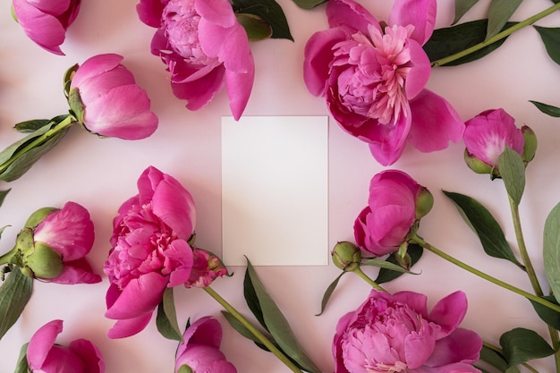 Pusty arkusz karty papieru marki z miejscem na kopię makiety i eleganckimi kwiatami piwonii na różowym tle Estetyczna kompozycja kwiatów