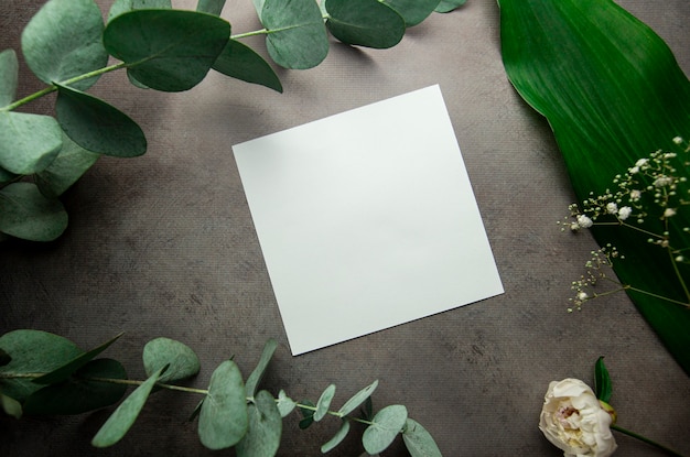 Zdjęcie pusty biały arkusz z miejscem na tekst na szarym tle z liśćmi roślin i gałązkami eukaliptusa
