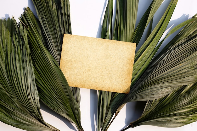Zdjęcie pusty brązowy papier na suchych liściach tropikalnej palmy