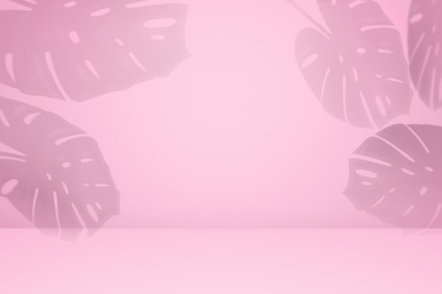 Pusty cień monstera wzór tekstury cement na tle różowej ściany Letnia tropikalna minimalna koncepcja Używany do prezentacji sklepu internetowego biznes natura organicznych produktów kosmetycznych