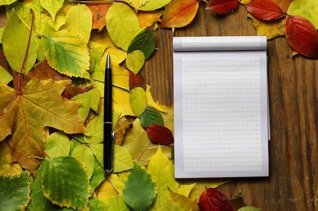 Zdjęcie pusty papier na tle jesiennych liści i pióra