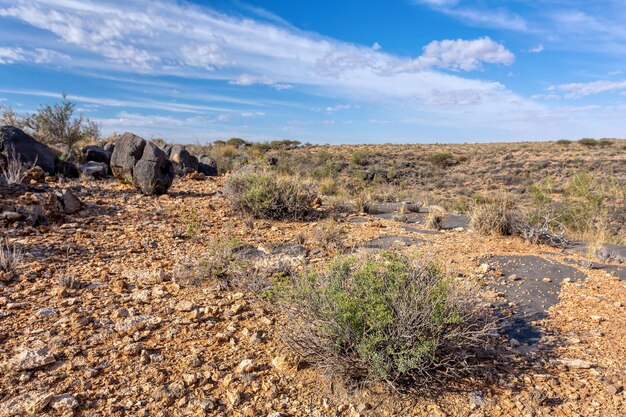 Zdjęcie pustynia namib namibia krajobraz afryki