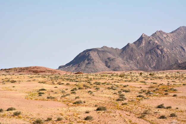 Pustynia piaszczysta z rzadkimi krzewami Małe góry są w tle Rezerwat krajobrazu naturalnego