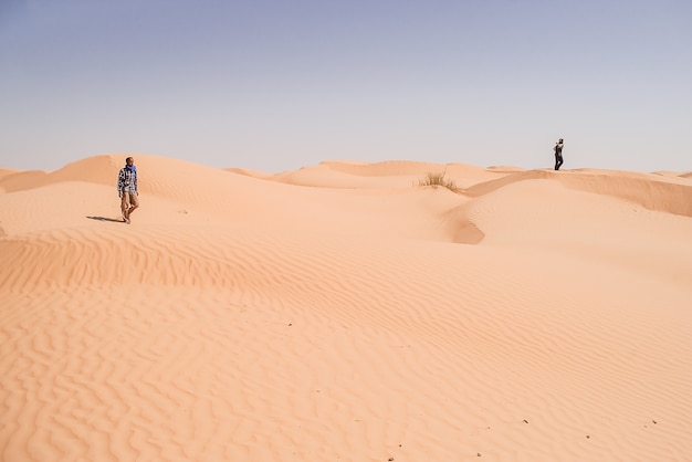 pustynia Sahara