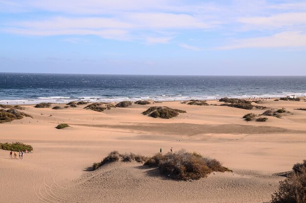 Pustynia Wydmowa w Maspalomas Gran Canaria Hiszpania