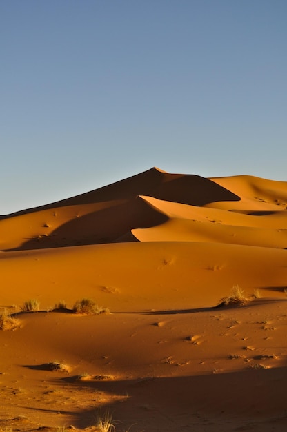 Zdjęcie pustynia