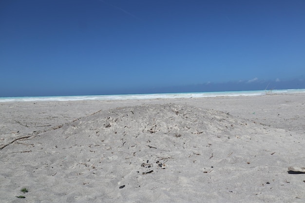 Pustynna scena tropikalnej plaży