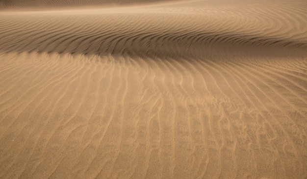 Pustynne Wydmy W Maspalomas Gran Canaria