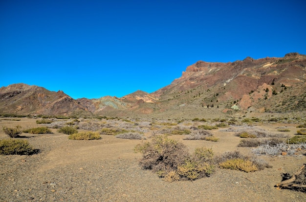 Pustynny krajobraz w Parku Narodowym Volcan Teide, Teneryfa, Wyspy Kanaryjskie, Hiszpania