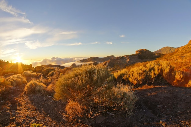 Pustynny krajobraz w Parku Narodowym Volcan Teide, Teneryfa, Wyspy Kanaryjskie, Hiszpania