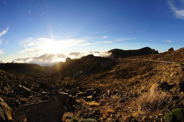 Pustynny krajobraz w Parku Narodowym Volcan Teide, Teneryfa, Wyspy Kanaryjskie, Hiszpania
