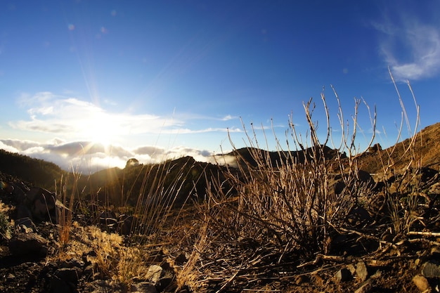 Pustynny krajobraz w Parku Narodowym Volcan Teide, Teneryfa, Wyspy Kanaryjskie, Hiszpania