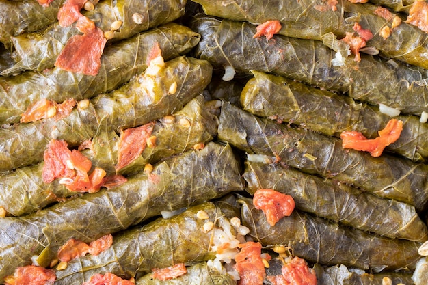 Pyszna dolma (sarma) faszerowana liśćmi winogron ryż, sos z białego jogurtu. Libańska dolma sarma na talerzu. Liban turecka grecka kuchnia bliskowschodnia. (nazwa turecka; Yaprak sarma)