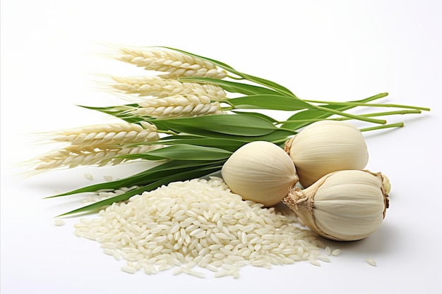 Pysznie ugotowany biały ryż podawany na pierwotnie białym talerzu na czystym białym tle