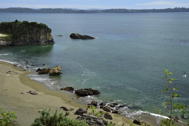 QUELLON CHILE Widok na skaliste wybrzeże oceanu