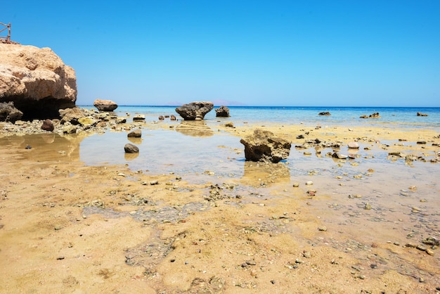 Rafy Koralowe Na Plaży W Pobliżu Hotelu?