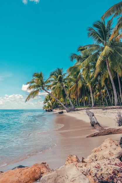 Rajska plaża na Karaibach