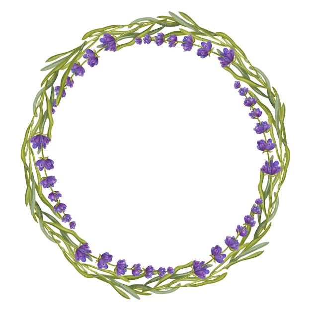 Rama okrągły bukiet kwiatów lawendy Kwiatowy bukiet aquarelle Eco naturalne zioła Akwarela ilustracja na białym tle