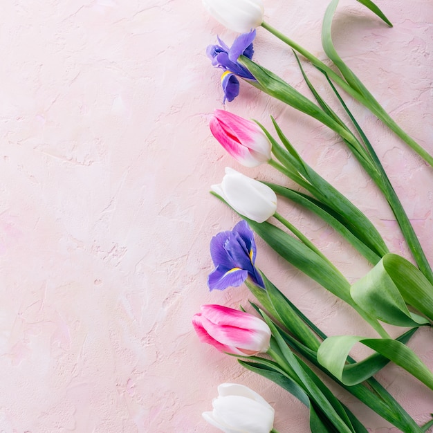 Rama tulipany i irysy na różowym tle