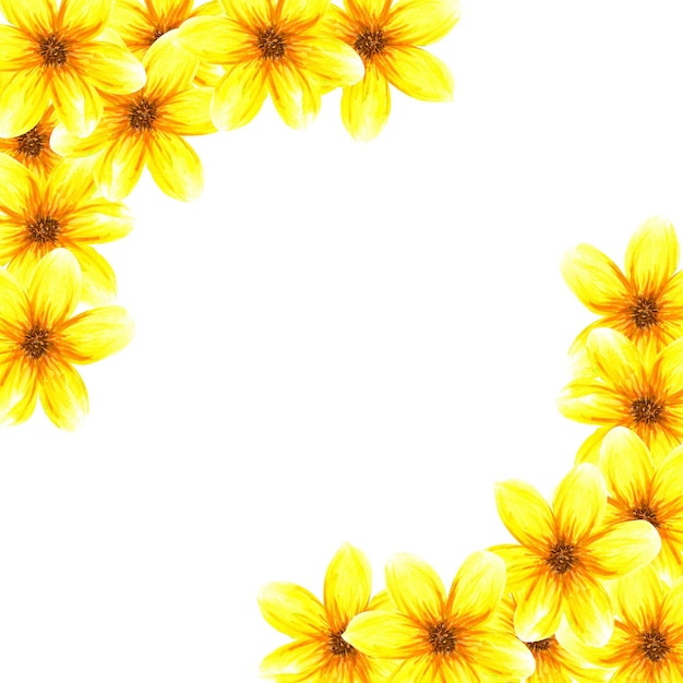 Zdjęcie rama z kwiatami akwarela streszczenie jasne letnie żółte kwiaty i liście odizolowane obiekty na białym tle