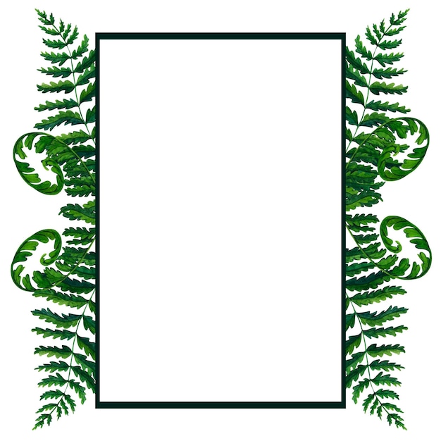 Zdjęcie rama z paproci akwarela ręcznie malowane ilustracja w kolorach zielonym zieleń gałąź gałązka łodyga roślina leśna na białym tle na białym tle dla sztuki ściennej clip art dla projektu