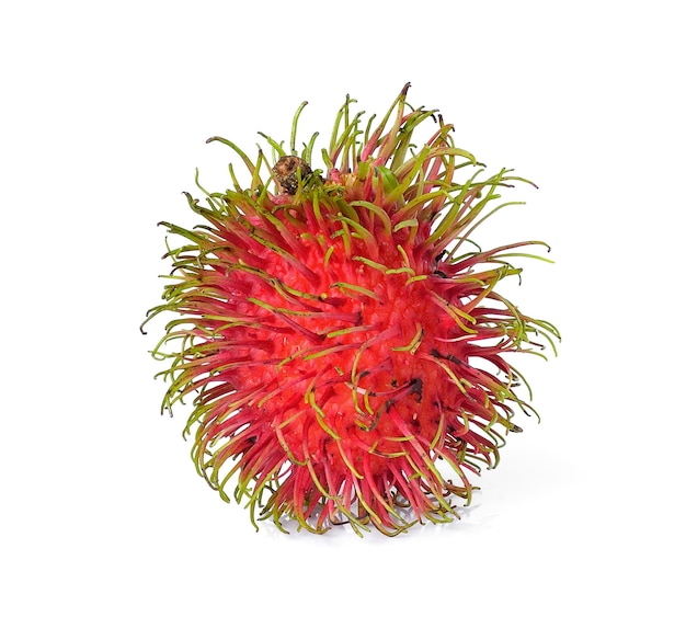 Rambutan na białym tle