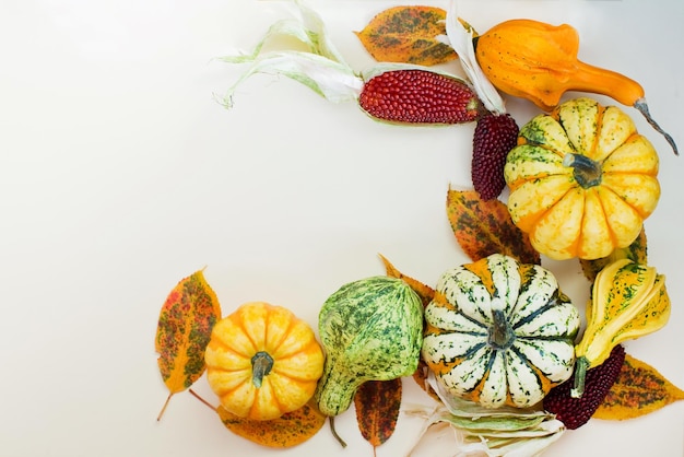 Ramka dekoracyjnych dyni jesiennych Pomarańczowo-żółte i zielone dynie z jesiennymi liśćmi na białym tle z miejscem na tekst Przygotowanie do Święta Dziękczynienia o Halloween