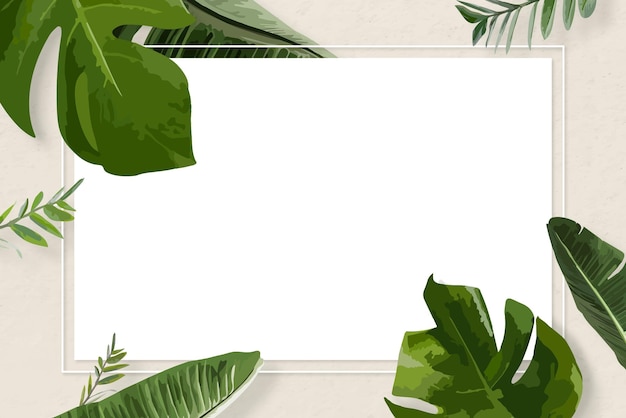 Ramka liści PNG klipart granica zielona roślina Monstera przejrzyste tło