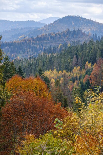 Rano mgliste chmury jesienią górskich krajobrazów Ukraina Karpaty Zakarpacie