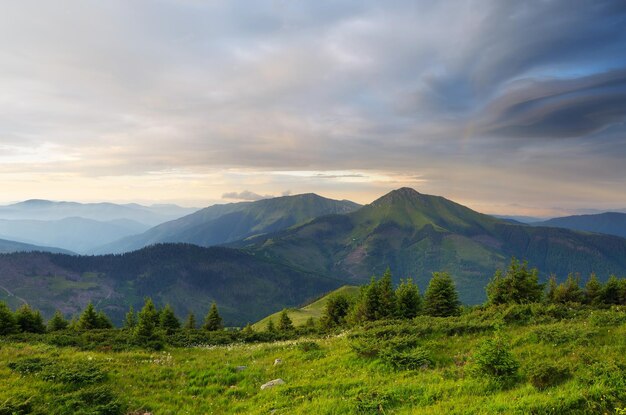 Rano w górach