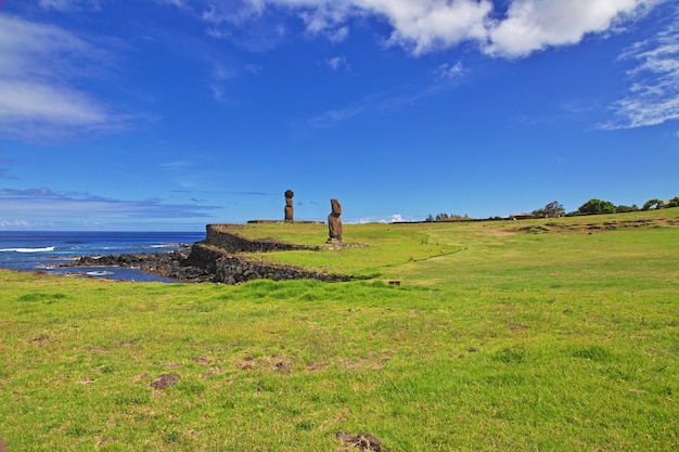 Rapa Nui. Statua Moai w Ahu Tahai na Wielkanocnej wyspie, Chile