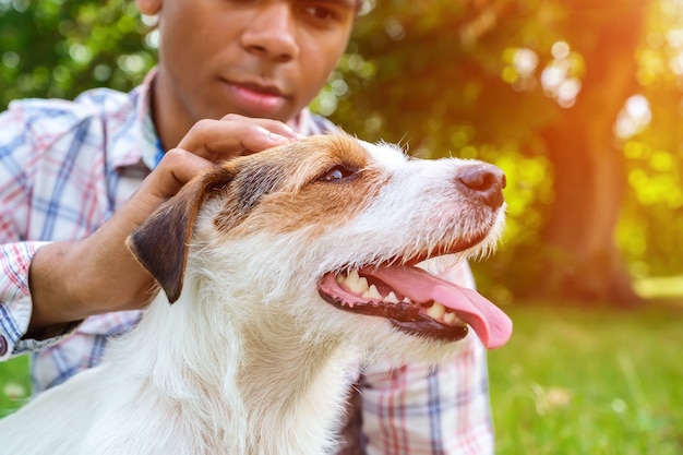 Rasowy pies Jack Russell na spacer w parku w lecie. African American man grając z jego Jack Russell Terrier i głaszcząc ładny pies z bliska.