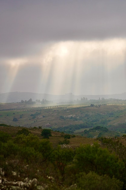 Rayos de sol en el Horizonte