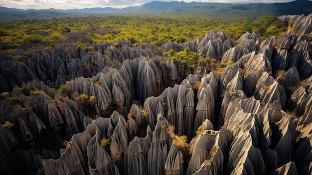 Razorsharp Pinnacles w Tsingy de Bemaraha na Madagaskarze