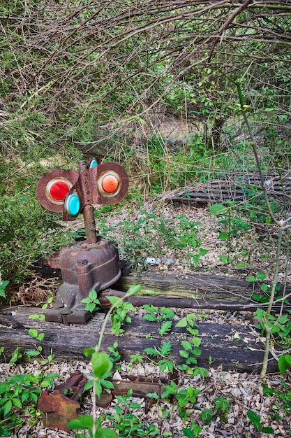 Rdzewiająca latarnia kolejowa światło przełącznik biegów przełącznik torów pociąg opuszczony stary kolorowy w lesie