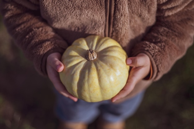 Ręce dziecka trzymają mini zbliżenie dyni