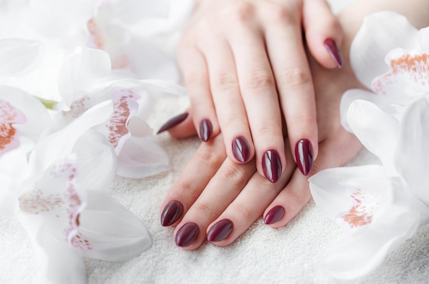 Ręce młodej kobiety z ciemnoczerwonym manicure na paznokciach