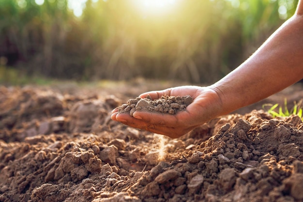 Ręce rolnika trzymają glebę, aby sprawdzić jakość gleby na polu