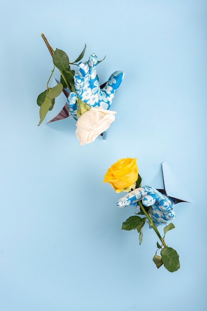 Ręce z rękawiczkami do spawania z niebieskiego otworu w tle z dwiema różami, żółtym i różowym