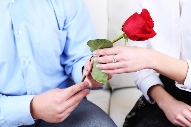 Ręce zakochanej pary w czerwonej róży, zbliżenie
