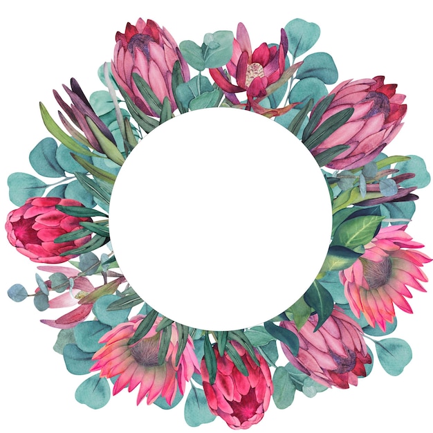 Zdjęcie ręcznie malowane akwarela magenta protea wieniec kwiatów