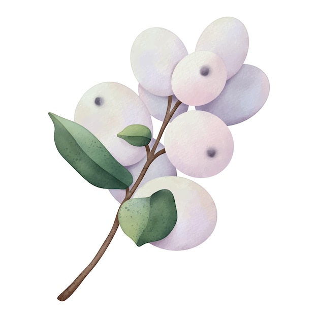 Ręcznie rysowane akwarela gałąź z snowberry i zielonymi liśćmi