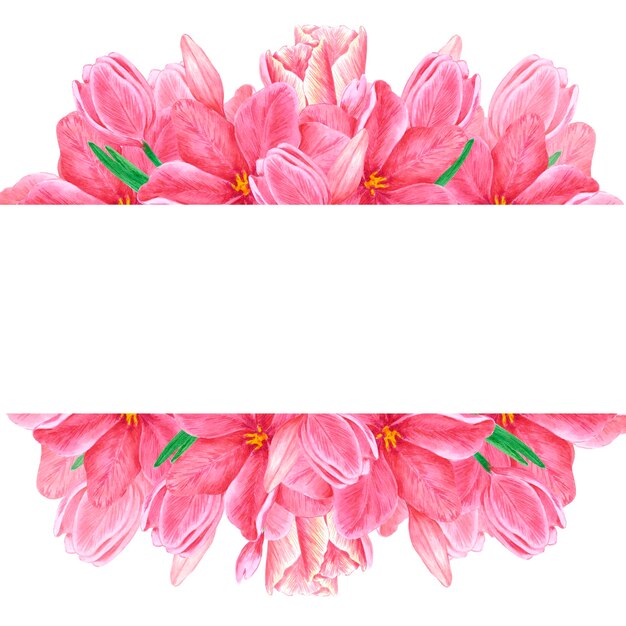 Ręcznie rysowane akwarela różowe tulipany ramki granicy na białym tle Notatnik pocztówka album zaproszenie na ślub