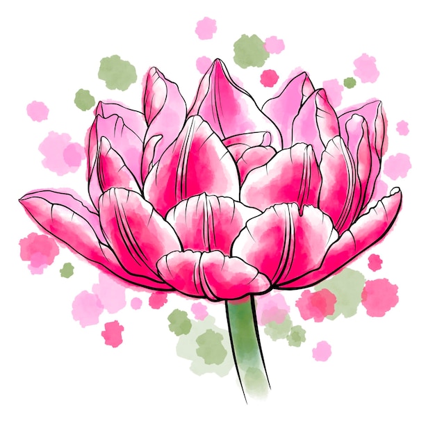 Ręcznie rysowane cyfrowe ilustracje kwiatu tulipana na tle akwareli