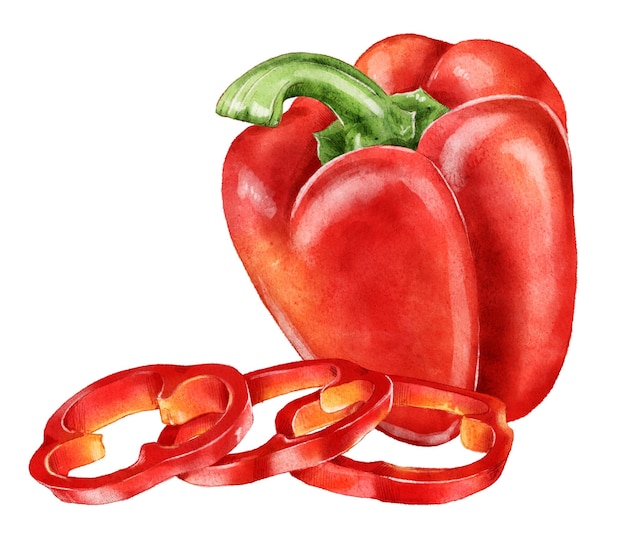 Zdjęcie ręcznie rysowane dojrzała czerwona papryka akwarela
