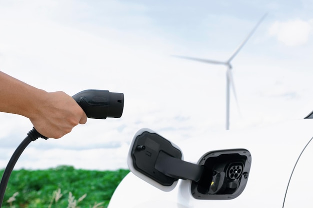 Ręcznie włóż wtyczkę złącza do EV z progresywnym naturalnym scenicznym i turbiną wiatrową